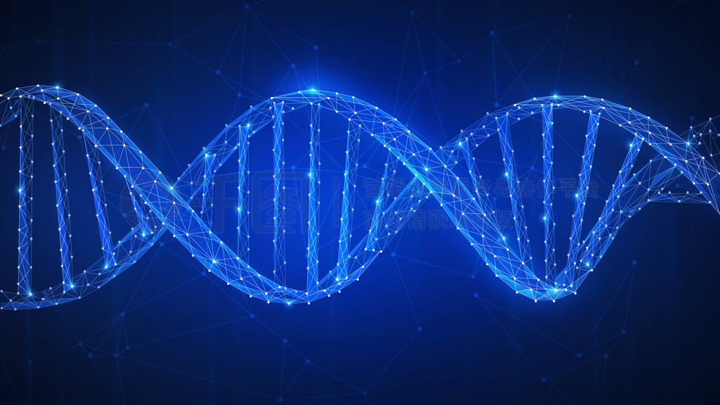 合生生物工程